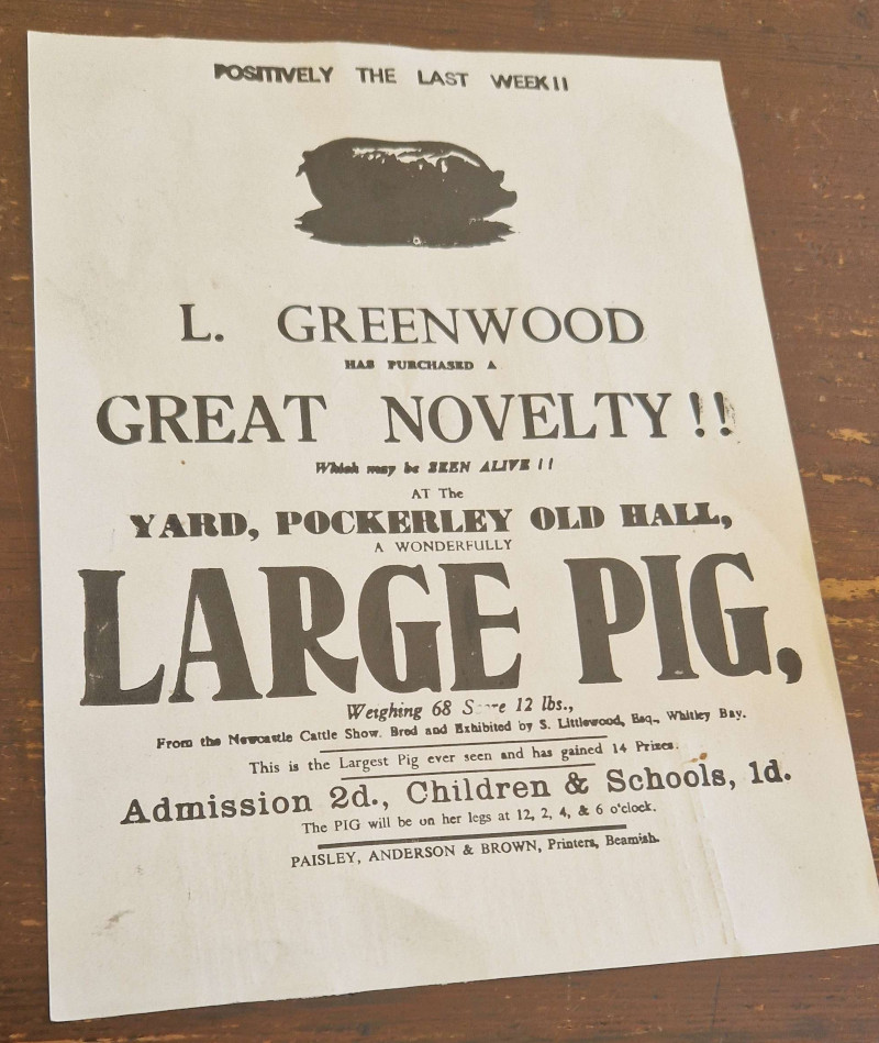 A printed advert for a Large Pig