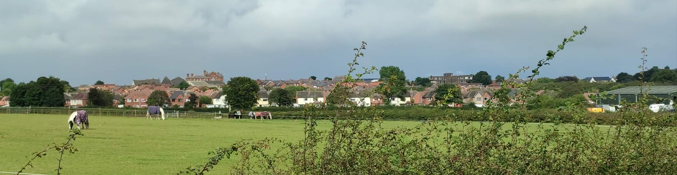 Boven een boerderij vol paarden verrijzen voorstedelijke gebouwen, waaronder een pub en een flatgebouw.