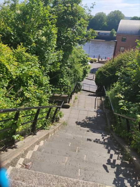 We kijken van een trap af, omringd door bomen, naar de rivier.