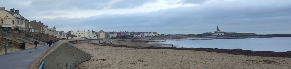 A beach fades into the distance under cloudy skies