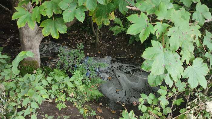 A shopping trolley lies half submerged in a sorry looking scummy stream.