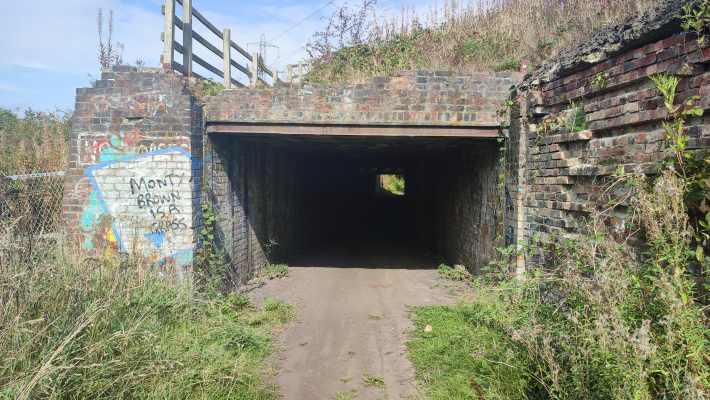 A jet-dark pedestrian underpass, its entrance covered in graffiti.