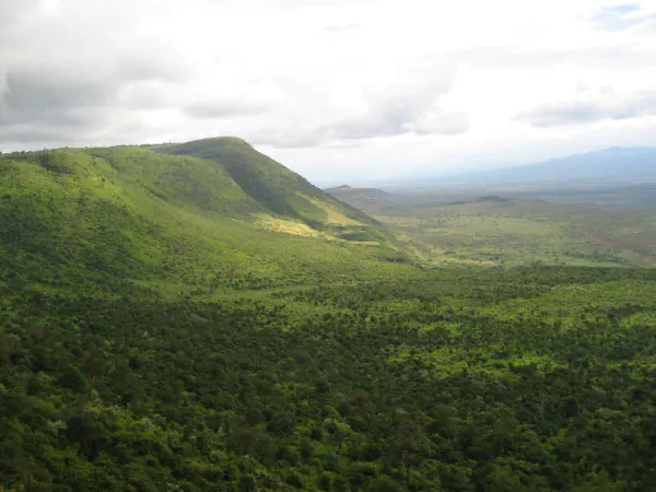 A luscious green valley