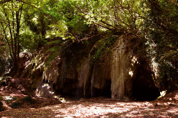 The entrance to a cave.